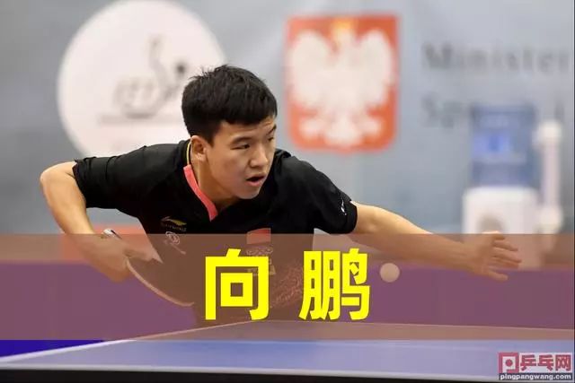 赢停线 赢停线